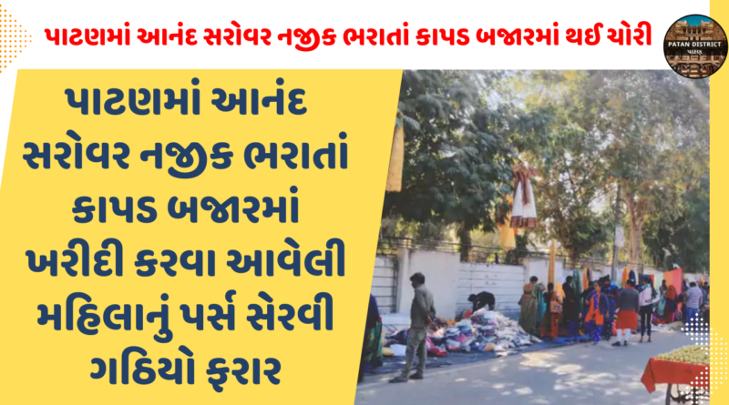 Theft near Anand Sarovar in Patan