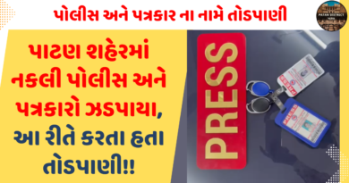 Fake police and journalists caught in Patan city