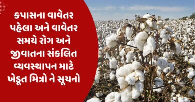 Advice to farmer